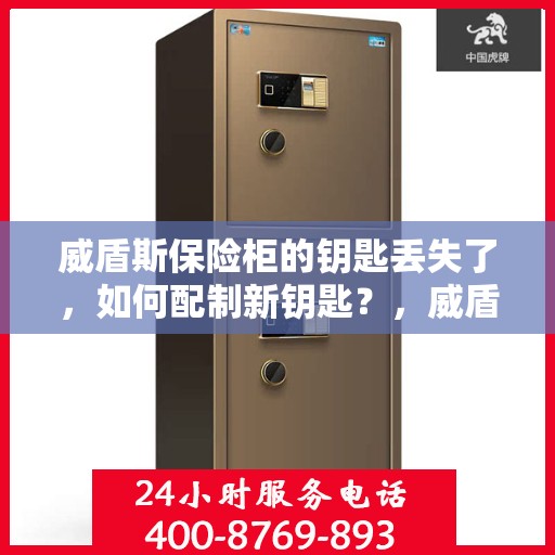 威盾斯保险柜的钥匙丢失了，如何配制新钥匙？，威盾斯保险柜钥匙丢失，如何配制新钥匙全攻略？