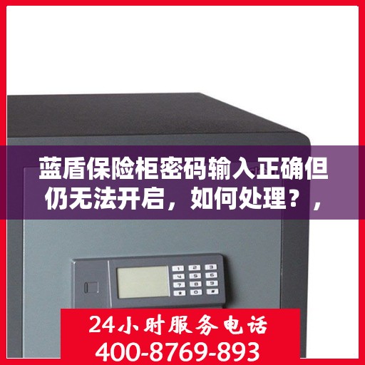 蓝盾保险柜密码输入正确但仍无法开启，如何处理？，蓝盾保险柜密码正确却打不开？解决方法全解析！